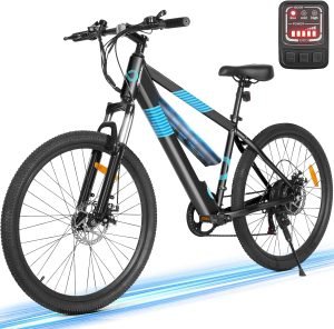 Adult Electric Bike 