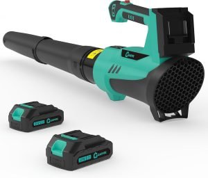 Leaf Blower Cordless