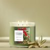 Yankee Candle Mistletoe