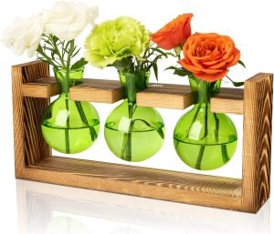  Glass Plant Terrarium Propagation Station