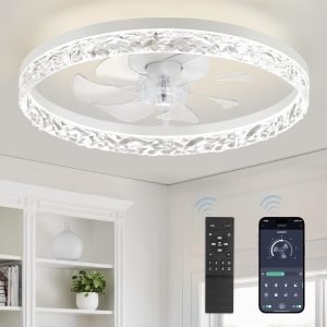 Modern Ceiling Fans with Lights and Remote