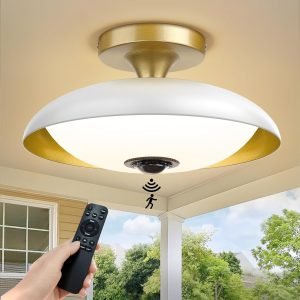 Outdoor Motion Sensor Ceiling Light with Remote 