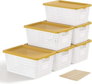 Storage Bins Baskets with Lids – 6 Pack