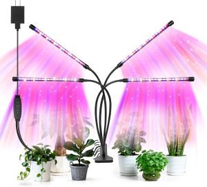 Led Grow Lights