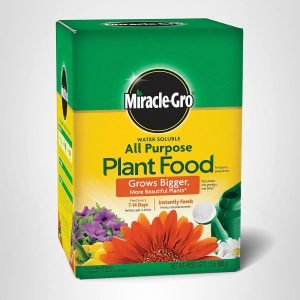 Miracle-Gro Water Soluble All Purpose Plant Food