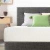 6 inch Twin Mattress Bed