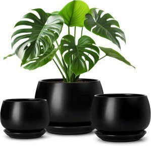 3-Pack Ceramic Plant Pots 