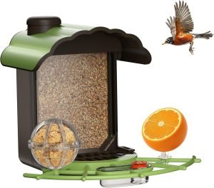 Bird Feeders for Outdoors 