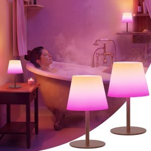 Spa-Like Shower Lamp 
