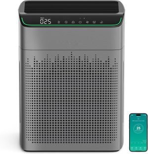 Air Purifiers for Home