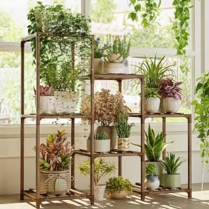 Plant Stand Indoor