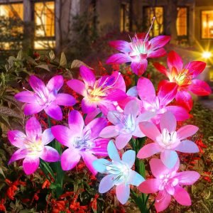 Solar Garden Lights 