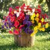 Artificial Flowers for Outdoors 