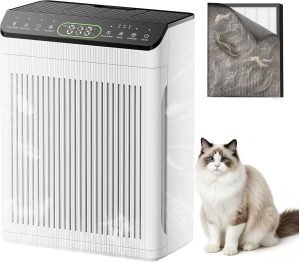 Air Purifier