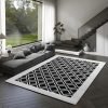 Soft Textured Area Rug with Non-Slip Backing 