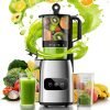 Cold Press Juicer 