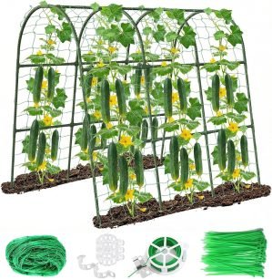 Cucumber Trellis for Raised Bed