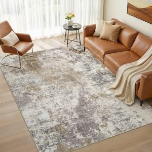 6X9 Area Rug