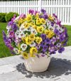 20PCS Artificial Pansy Flowers 