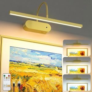 Rechargeable Picture Lights for Wall