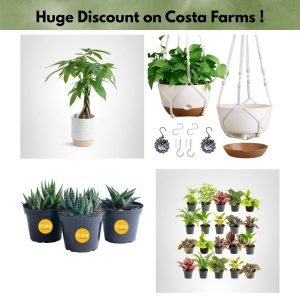 Huge Discount on Costa Farms !