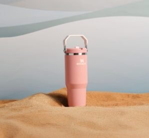 Stanley IceFlow 2.0 Flip Straw Tumbler