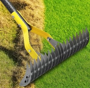Dual-Action Thatch Rake for Lawn