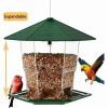 Bird Feeder for Outdoor Hanging