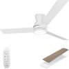 Ceiling Fan with Light 