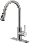 Pull-Out Kitchen Faucet 