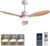 Ceiling Fan with Lights 