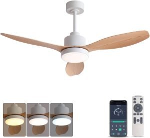 Ceiling Fan with Lights 