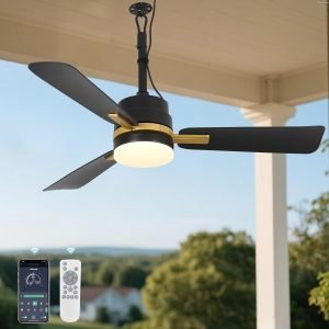 Outdoor Ceiling Fans with Lights
