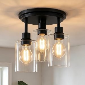 Semi Flush Mount Ceiling Light