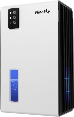 Dehumidifier for Home 
