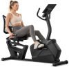 Recumbent Exercise Bike 