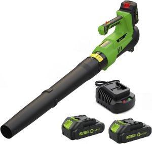 Cordless Leaf Blower 