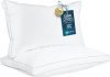 Bed Pillows
