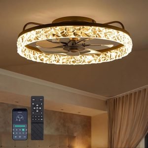 Ceiling Fan with Light 