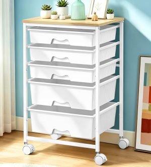 Rolling Cart with 5 Drawers 