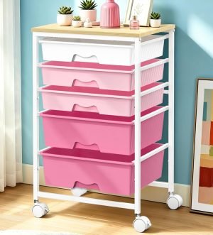 Rolling Cart with 5 Drawers 