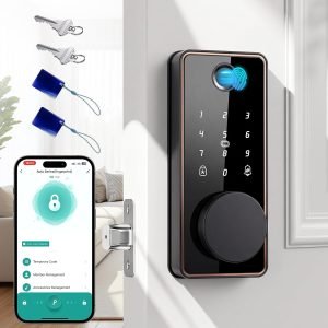 Keyless Entry Door Lock