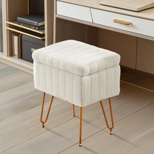 Vanity Stool Chair with Storage