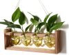 Plant Propagation Stations Heart Plant Terrarium Kit
