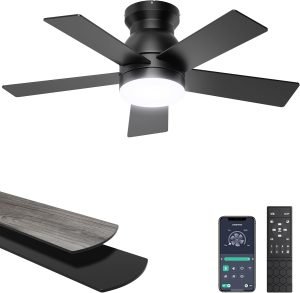 Ceiling Fan with Lights 