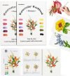 Watercolor Workbook for Beginners
