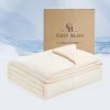 Cozy Bliss Cooling Comforter Twin Size