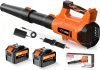 Electric Leaf Blower Cordless 21V 