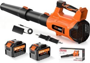Electric Leaf Blower Cordless 21V 