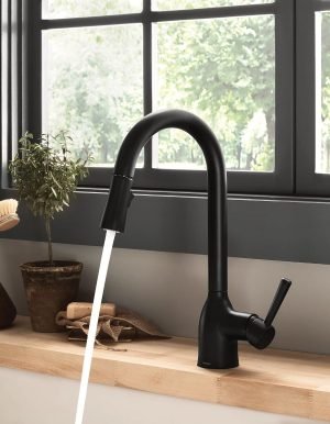 Kitchen Sink Faucet
